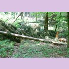 3.bilder_html_m3869f469.jpg