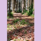 3.bilder_html_5808d8ed.jpg